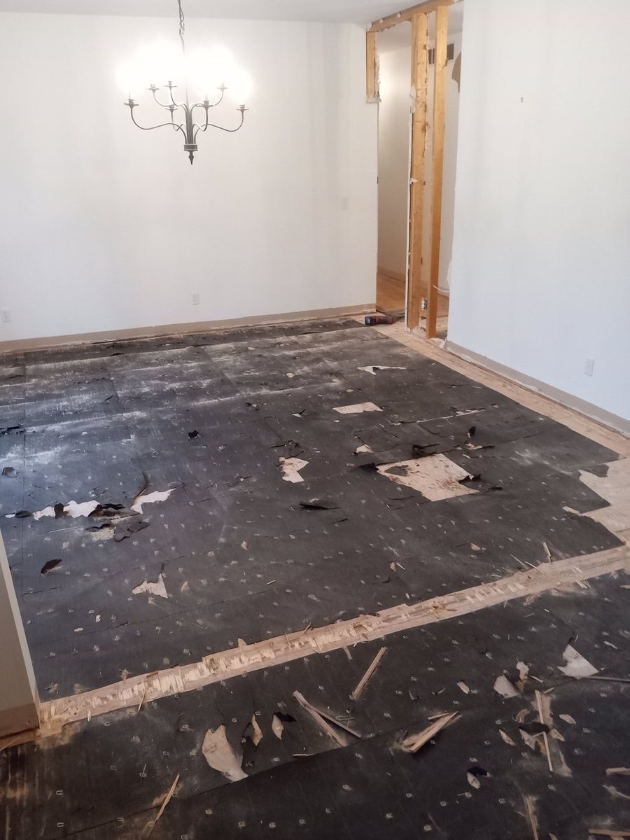 Hallway floor and wall surfaces prepared for repair.